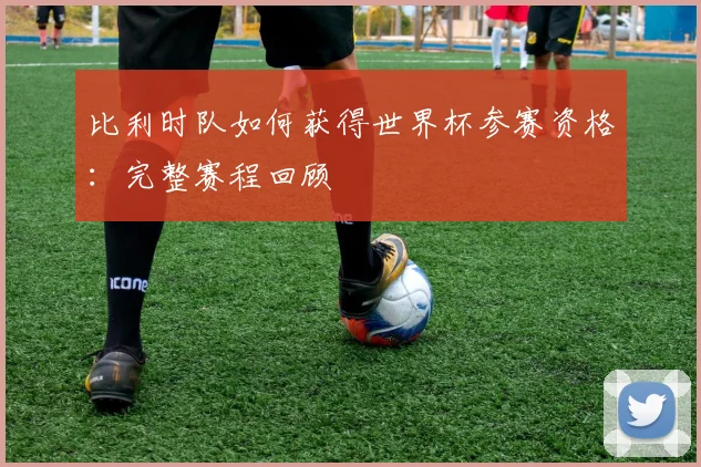 比利时队如何获得世界杯参赛资格：完整赛程回顾