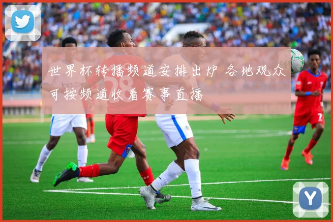世界杯转播频道安排出炉 各地观众可按频道收看赛事直播